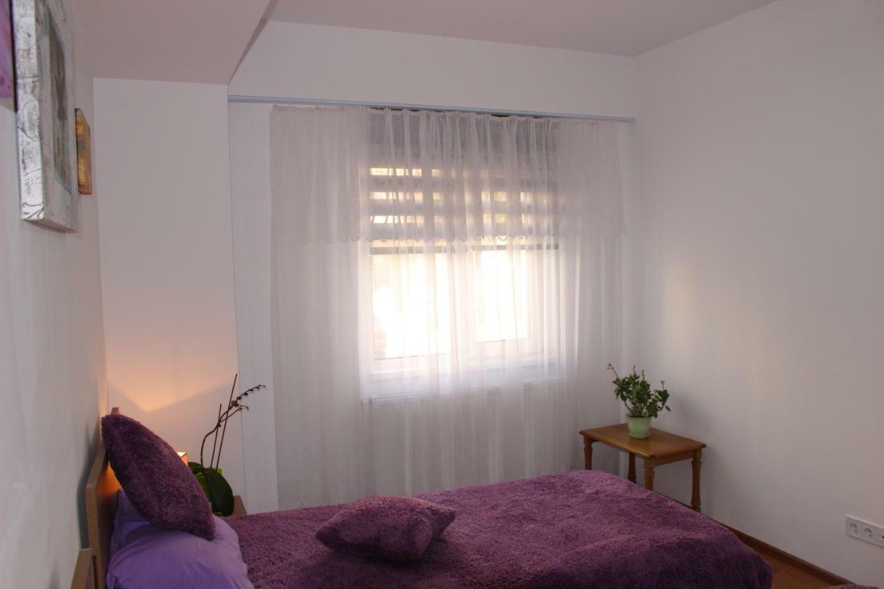 Still Apartament Krajowa Zewnętrze zdjęcie